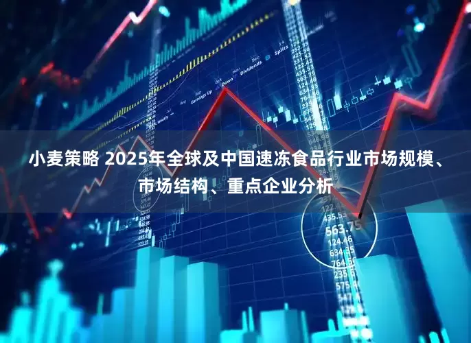 小麦策略 2025年全球及中国速冻食品行业市场规模、市场结构、重点企业分析