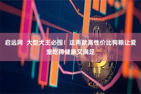 启远网  大型犬主必囤！这两款高性价比狗粮让爱宠吃得健康又满足