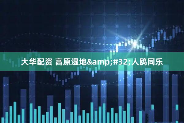 大华配资 高原湿地&#32;人鸥同乐